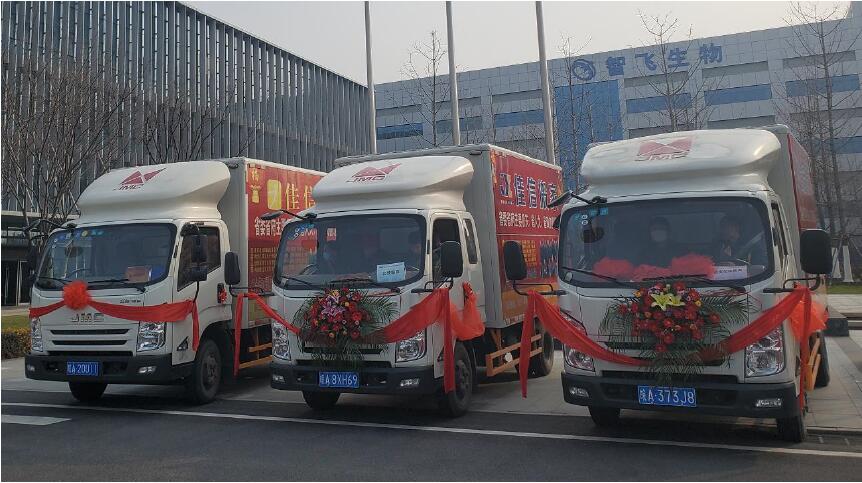 �Ƿ�����